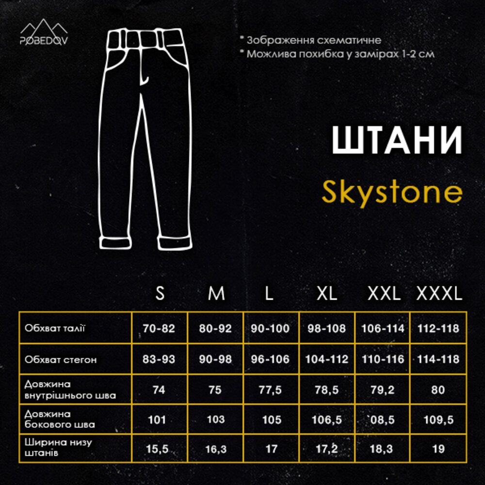 Штани карго чоловічі чорні базові котонові Pobedov Skystone, фото 3