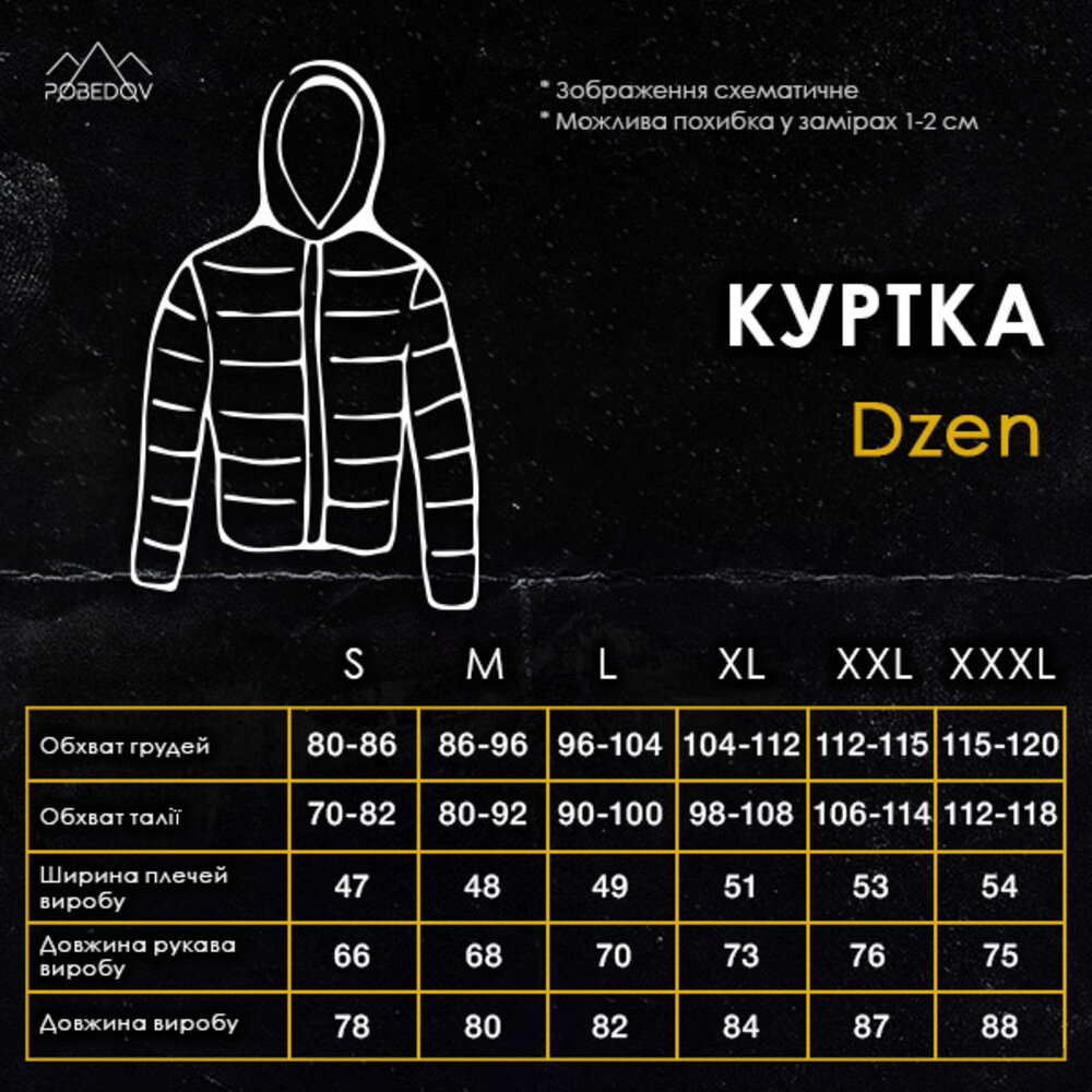 чоловіча зимова Куртка з капюшоном Pobedov Winter Jacket Dzen, фото 3